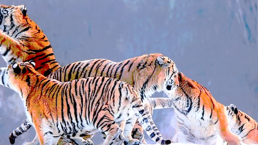 612f118905e27.png 微信圖片_20210901133946.png